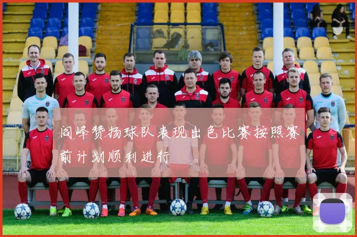 阎峰赞扬球队表现出色比赛按照赛前计划顺利进行