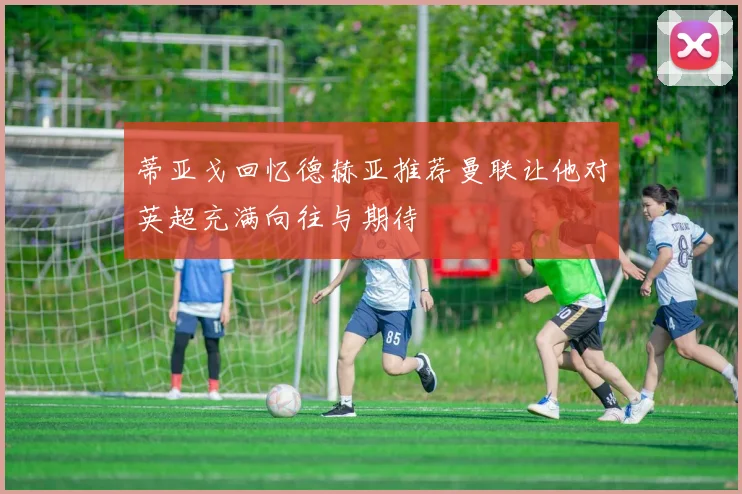 蒂亚戈回忆德赫亚推荐曼联让他对英超充满向往与期待