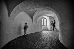 Salon.Photo Silver Medal